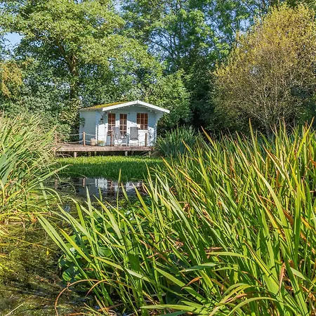 펜션 The Owls Hollow - Uk45297 *