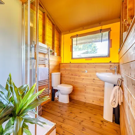 The Owls Hollow - Uk45297