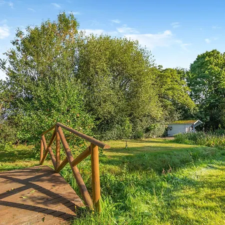 The Owls Hollow - Uk45297 *