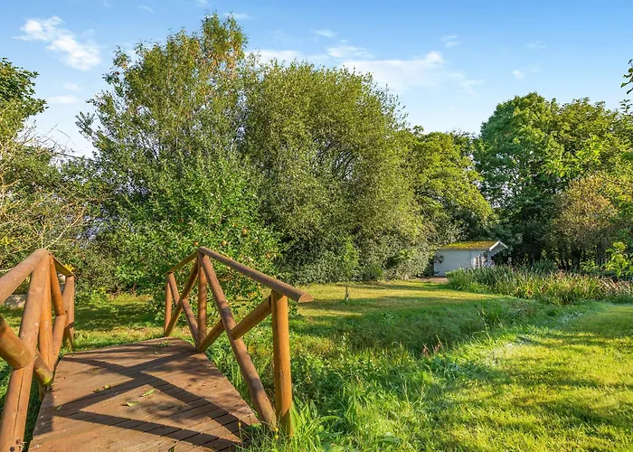 The Owls Hollow - Uk45297 *