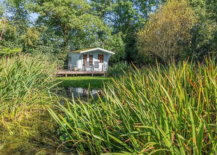 Hébergement de vacances The Owls Hollow - Uk45297 *